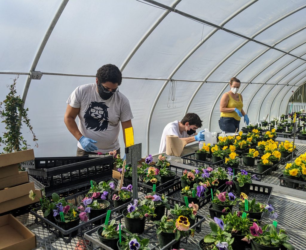 Students working with flowers